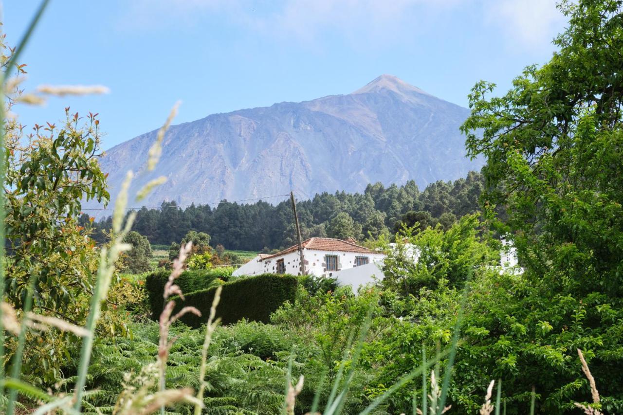 Casa Rural Felipe Luis San Juan de la Rambla ภายนอก รูปภาพ