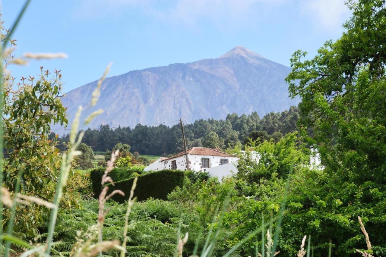 Casa Rural Felipe Luis San Juan de la Rambla ภายนอก รูปภาพ